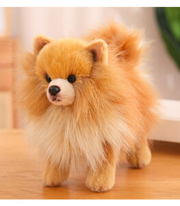 �ʂ������ �|�����j�A�� �� ���A�� �{���������� ���X���� ���� ������ �C�k�̒u�� ���� �ӂ�ӂ� �_�炩�� �����n ���� �C���e���A �a���� ���蕨