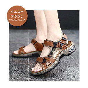 uVoꁕiቿivT_ Y X|[c ėp X|[c񂾂 AEghAT_ 傫TCY  ₷ y   K ~ ʋC ϋv