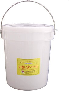 y[ 5^ (4.3L) 2Zbg (낢gsvcȃoPc R_ntpi yi)yyHi 薡X [Ogz