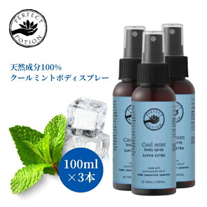 p[tFNg|[V N[~g{fBXv[ X[p[GNXg 100ml 3Zbg perfect portion ⊴ VR A} I[KjbN g[ 3{Zbg  Ђ nbJ  