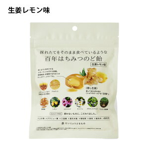 傤ԂȂ SN݂͂̂ǈ U[Ebhnj[ + n[uLfB I 51g(14) (Y}I[KjbN v|X mVK[ Mgt[