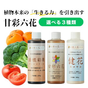 ÍʘZԃV[Y 200ml ioCI 3킩Iׂ ܂ A i 엿 ÍʘZ A}CbJ ʉ JbRTCJ  XRJ |pi ƒ؉  
