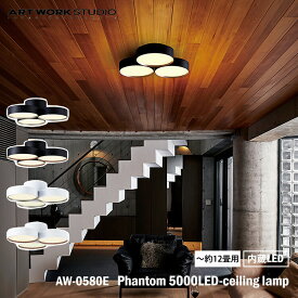 ART WORK STUDIO AW-0580E Phantom 5000LED-ceilimg lamp ファントム5000LEDシーリングランプ 約12畳用 内蔵LED シーリングライト 天井照明 直付け おしゃれ 取り付け簡単 コンパクト シンプル リビング
