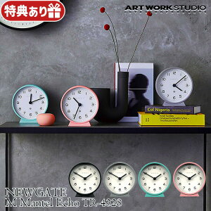 M Mantel Echo M}eGR[ uv TR-4328 dr AiO AN VR  AJ ~bhZ`[ re[W A[g[NX^WI ARTWORKSTUDIO AeB[N g 