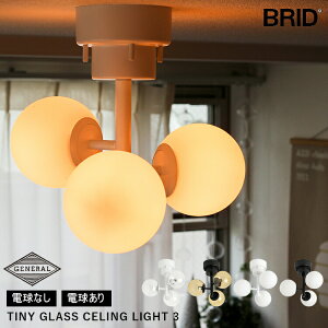 TINY GLASS CEILING LIGHT 3 ^Cj[KXV[OCg 3 dȂ d zCg NAKX ubN Ao[KX ~NKX ^b`XCb` BRID ubh V Vv 