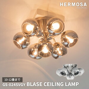 GS-024SVGY HERMOSA BLASE CEILING LAMP GS-024SVGY nT Vo[ u[[ V[Ov rO _CjO Q _ k JtF Ɩ LEDΉ Cg Ɩ  킢 ~[K
