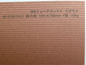 OK~[YRbg  118kg A3TCY 30 IׂS50F 0.22mm 420mm×297mm t@V[y[p[ II т