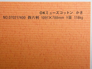 OK~[YRbg  118kg A3TCY 30 IׂS50F 0.22mm 420mm×297mm t@V[y[p[ II 