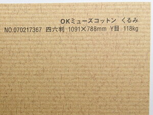 OK~[YRbg  118kg A2TCY 30 IׂS50F 0.22mm 594mm×420mm t@V[y[p[ II 