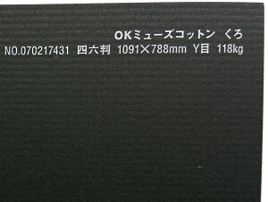 OK~[YRbg  118kg B4TCY 32 IׂS50F 0.22mm 364mm×257mm t@V[y[p[ II 