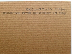 OK~[YRbg  118kg A2TCY 30 IׂS50F 0.22mm 594mm×420mm t@V[y[p[ II 