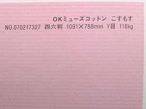 OK~[YRbg  118kg A1TCY 30 IׂS50F0.22mm 841mm×594mm t@V[y[p[ II 