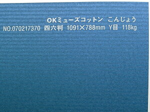OK~[YRbg  118kg A3TCY 30 IׂS50F 0.22mm 420mm×297mm t@V[y[p[ II 񂶂傤