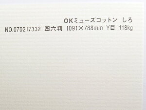 OK~[YRbg  118kg A1TCY 30 IׂS50F0.22mm 841mm×594mm t@V[y[p[ II 