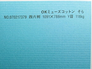 OK~[YRbg  118kg 4/6i1091mm×788mmj 5 Ǌۂ IׂS50F 0.22mm t@V[y[p[ II 