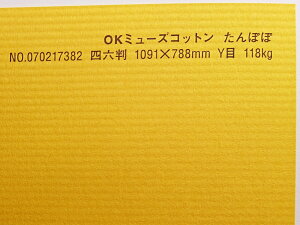 OK~[YRbg  118kg A2TCY 30 IׂS50F 0.22mm 594mm×420mm t@V[y[p[ II ۂ
