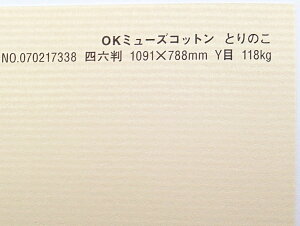 OK~[YRbg  118kg B2TCY 30 IׂS50F0.22mm 728mm×515mm t@V[y[p[ II Ƃ̂