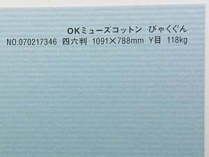 OK~[YRbg  118kg 4/6i1091mm×788mmj 5 Ǌۂ IׂS50F 0.22mm t@V[y[p[ II тႭ