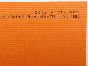 OK~[YRbg  118kg A3TCY 30 IׂS50F 0.22mm 420mm×297mm t@V[y[p[ II ݂