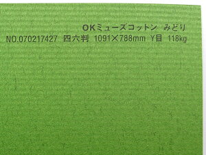 OK~[YRbg  118kg A2TCY 30 IׂS50F 0.22mm 594mm×420mm t@V[y[p[ II ݂ǂ