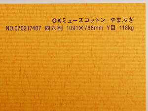 OK~[YRbg  118kg 4/6i1091mm×788mmj 5 Ǌۂ IׂS50F 0.22mm t@V[y[p[ II ܂Ԃ