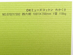 OK~[YRbg  118kg A3TCY 30 IׂS50F 0.22mm 420mm×297mm t@V[y[p[ II 킩