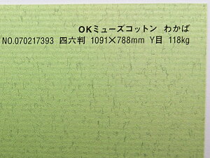 OK~[YRbg  118kg 4/6i1091mm×788mmj 5 Ǌۂ IׂS50F 0.22mm t@V[y[p[ II 킩