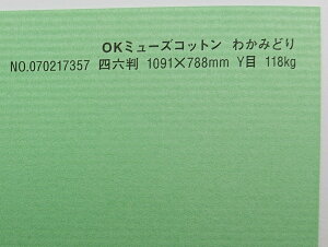 OK~[YRbg  118kg 4/6i1091mm×788mmj 5 Ǌۂ IׂS50F 0.22mm t@V[y[p[ II 킩݂ǂ