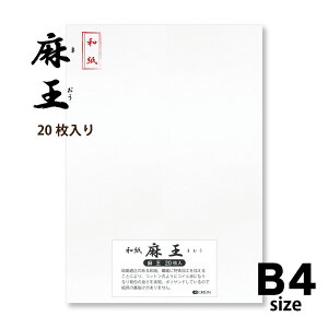 a  B4 i364×257jh[TȂ 20 n nG  II