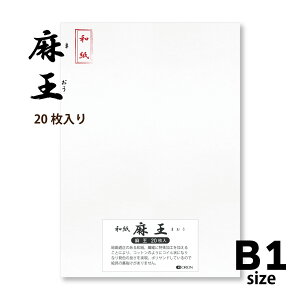 a  20 Iׂ9TCY@nEnGEʂ h[TȂ@II