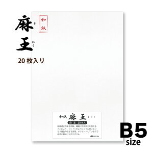 a @B5 i257×182j@h[TȂ 20 n nG ʁ@II