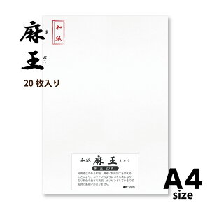 a @A4 i297×210j 20 n nG  h[TȂ@II