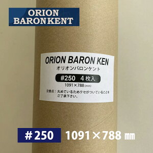 II oPg 250 4/6(1091×788j4 ۖڎǓ 