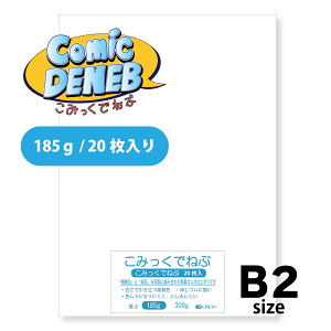 II ݂ł˂ 185g B2TCY 20 זځEɍזڗʎdl ʎ }[J[p 728mm×515mm