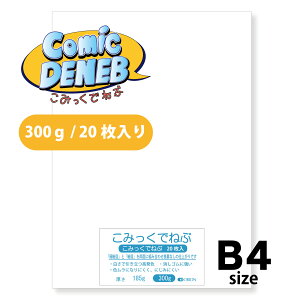 II ݂ł˂ 300g B4TCY 20 זځEɍזڗʎdl ʎ }[J[p 364mm×257mm