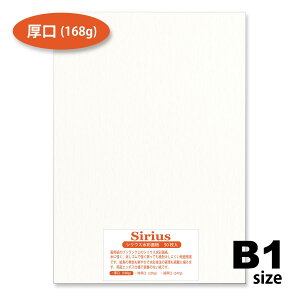 p VEXʎ  168g 50 B1TCY IIIׂ39TCY ʉp 1030mm×728mm