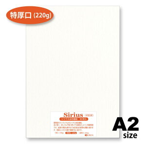 p VEXʎ  220g 50 A2TCY IIIׂ39TCY ʉp 594mm×420mm