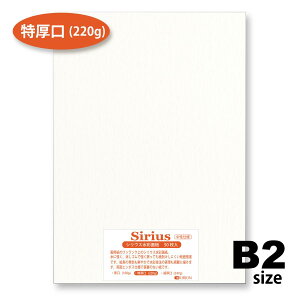 p VEXʎ  220g 50 B2TCY IIIׂ39TCY ʉp 728mm×515mm
