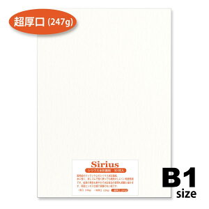 p VEXʎ  247g 50 B1TCY IIIׂ39TCY ʉp 1030mm×728mm