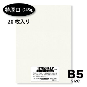 II [O} ʎ 20 B5 ځEזڗʎdl (i245gj, B5i257×182j)