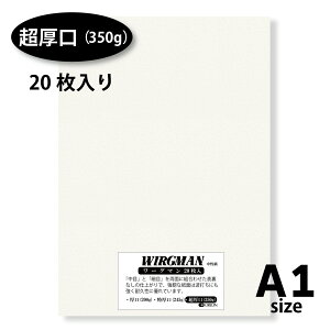 II [O} ʎ 20 A1 ځEזڗʎdl (i350gj, A1i841×594j)