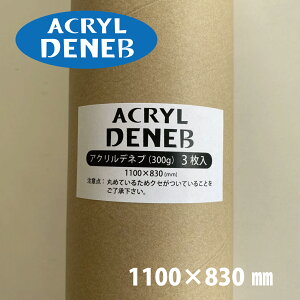 II ʎ ANflu 300g S(1100×830j3 ۖڎǓ 