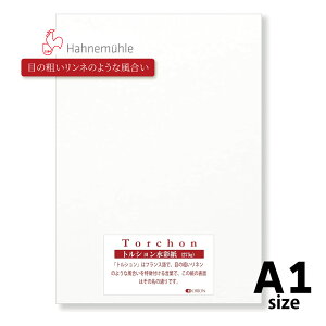 gVʎ Torchon 275g Iׂ10TCY II