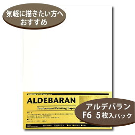 オリオン アルデバラン紙 250g F6サイズ 5枚入り 版画用紙 水彩紙 409mm×318mm AAB-F6 アウスバールシリーズ
