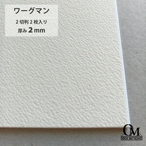 マットボード ワーグマン HB-43 2切判 2枚入り 厚さ2mm 788mm×545mm 紙 マット 額縁 額装 ディスプレイ 厚紙 カラー台紙 オリオン