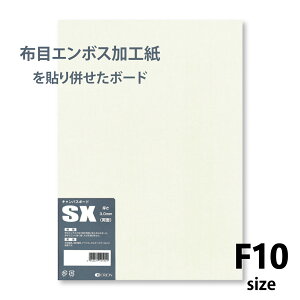 II LoX{[h F10TCY zڃG{X  10 3mm 530mm×455mm SX-F10
