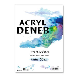 II ʎo[QpbN ANflu 300g A4TCY 50 ځEזڗʎdl 297mm×210mm