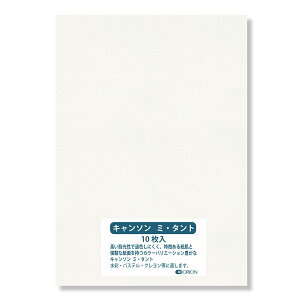 キャンソン ミタント紙 160g A2（594×420）335ホワイト 10枚入 選べる27色 厚さ0.23mm オリオン