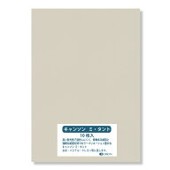 キャンソン ミタント紙 160g B4（364×257）343パール 10枚入 選べる27色 厚さ0.23mm オリオン