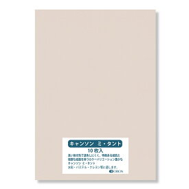 キャンソン ミタント紙 160g B4（364×257）426ムーンストーン 12枚入 選べる27色 厚さ0.23mm オリオン